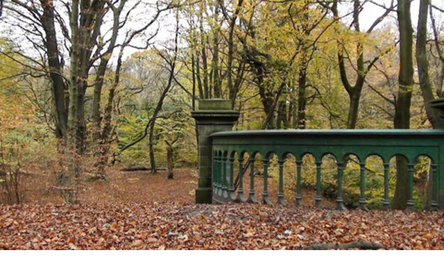 Railway Bridge in Haigh Country Park